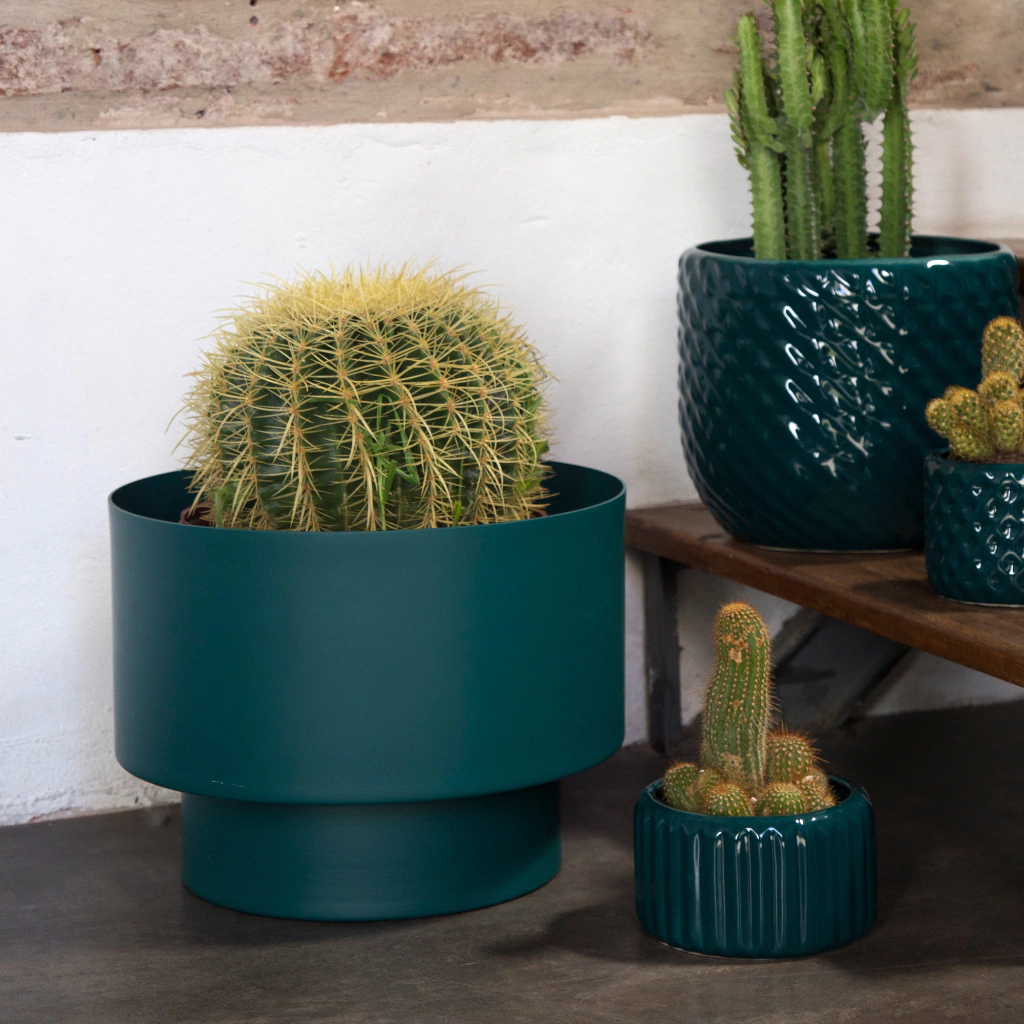 3333-d1eb492f2801ffebed17123396151896-1024-1024 3333-d1eb492f2801ffebed17123396151896-1024-1024